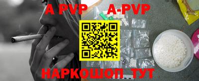 гашик Можга