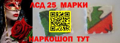 гашик Можга