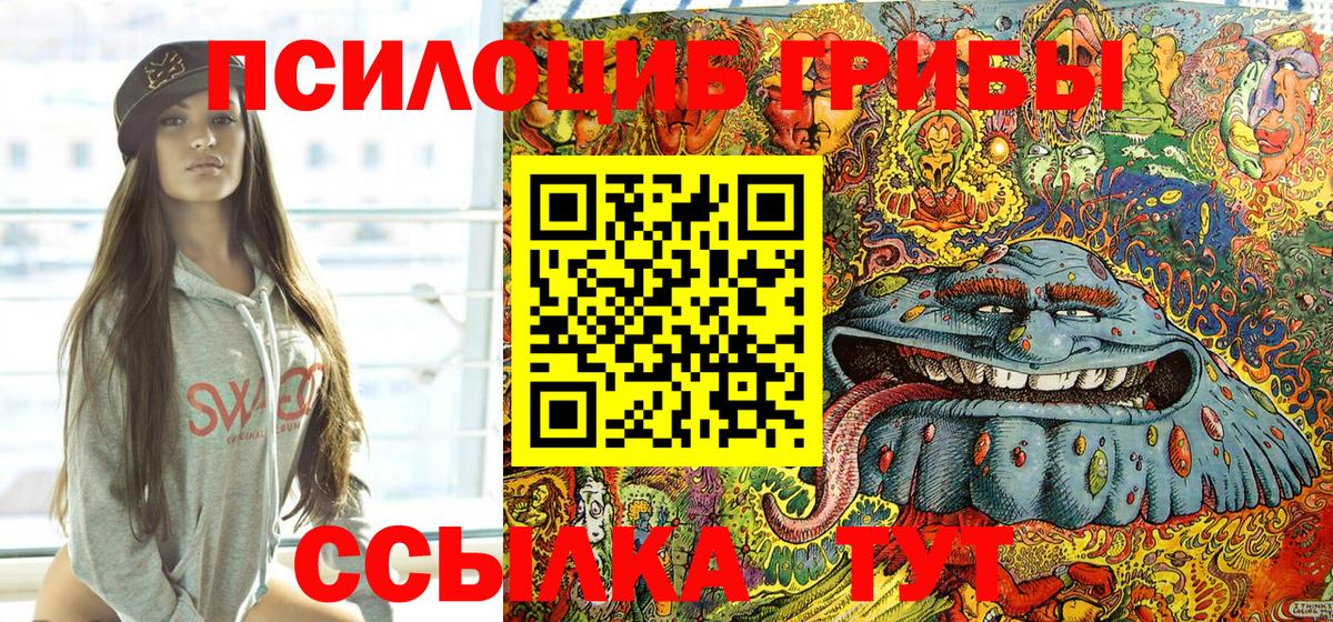 Симферополь  Галлюциногенные грибы Psilocybine cubensis  Псилоцибиновые грибы прущие грибы  купить наркотики цена  Вход с VPN 