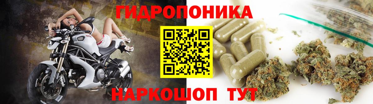 Бошки марихуана White Widow  Вход с VPN  МАРИХУАНА марихуана  Бошки Шишки конопля  Симферополь 